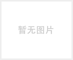 厂家直销 荷兰网 圈玉米网 养殖围网 可定做