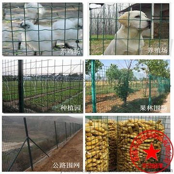 常年生产 圈玉米网 山地圈地网 养鸡围网 可定做
