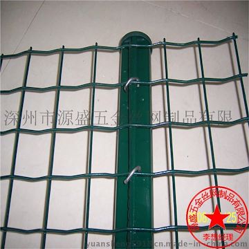 现货供应 养鸡铁丝围网 绿色围墙铁丝网 浸塑荷兰网护栏 可定做价格低
